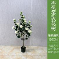 XU0612679
